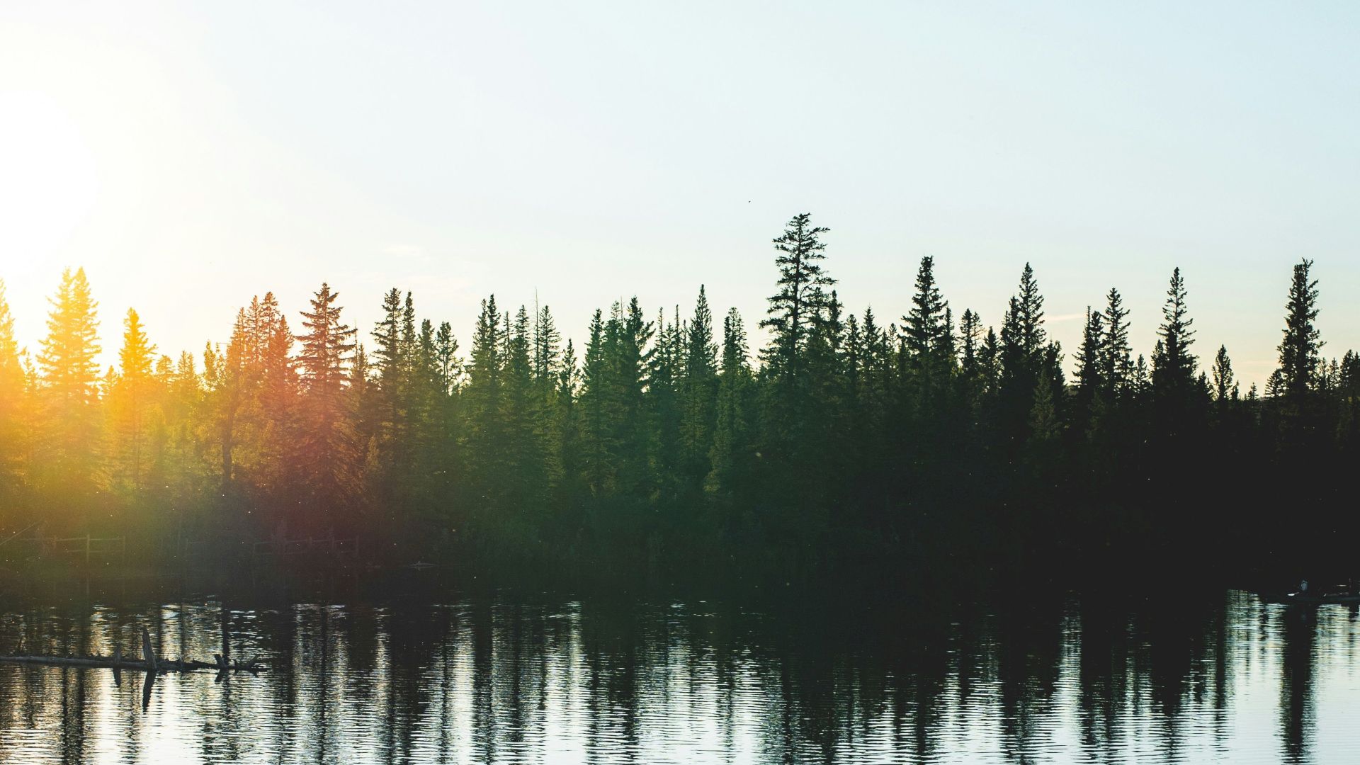A serene landscape with a lake reflecting evergreen trees, and the sun setting or rising with a warm glow on the left side of the image.